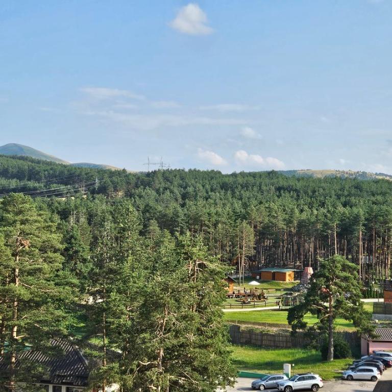 Zlatibor Centar Lux - Apartman sa Pogledom na Planinu - 34