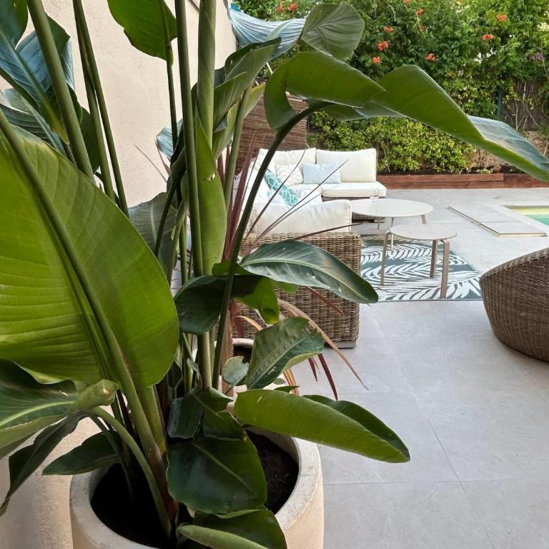 Très agréable et spacieuse villa avec piscine, jardin et clim - Villa avec Piscine Privée - 16