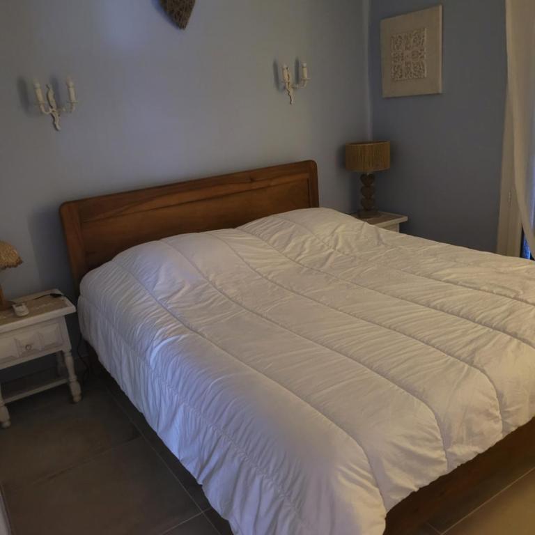 T3 70m2 rénové rdc, 50m plage,climatisé avec grd terrasse l'Argentiére - Appartement 2 Chambres - 29