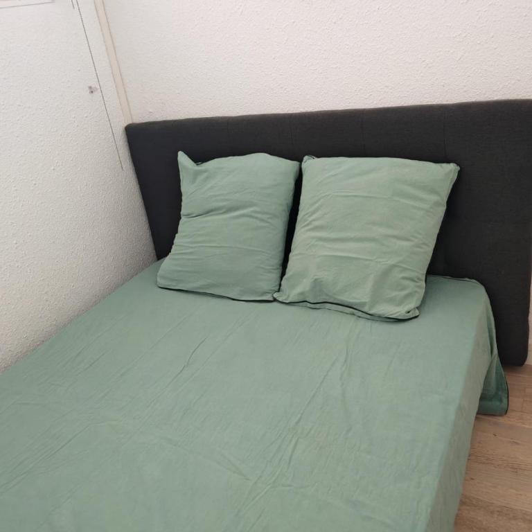 Two-room apartment with pool and private parking, view of Lake Ponant - Apartment mit 1 Schlafzimmer - 2