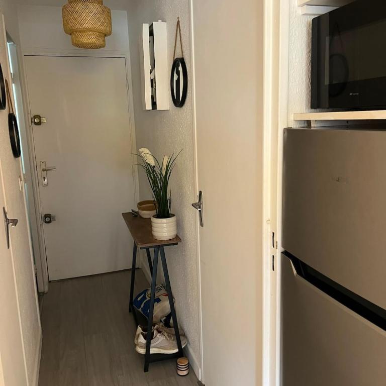 Two-room apartment with pool and private parking, view of Lake Ponant - Apartment mit 1 Schlafzimmer - 3