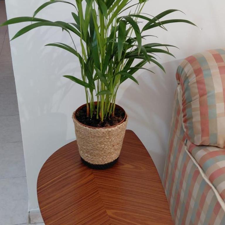 Lily's house - Appartamento con 1 Camera da Letto - 14