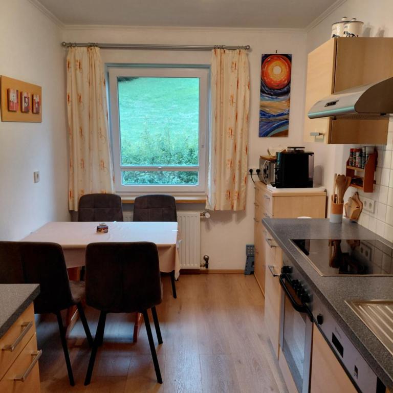 Apartment Haus Dengg - Apartment mit Blick auf die Berge - 23