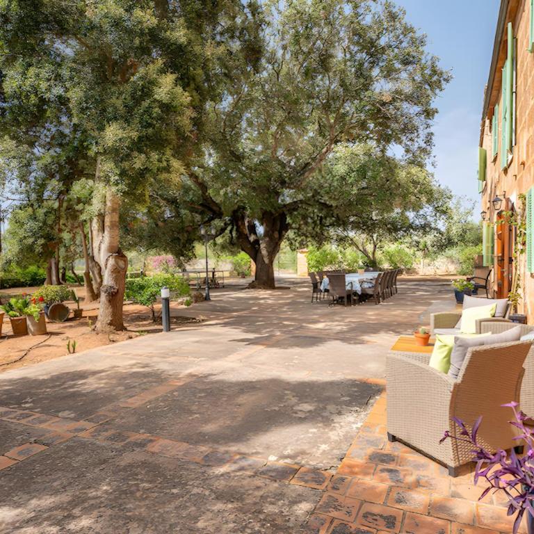 Ses Rotetes - Villa con vistas al jardín - 10