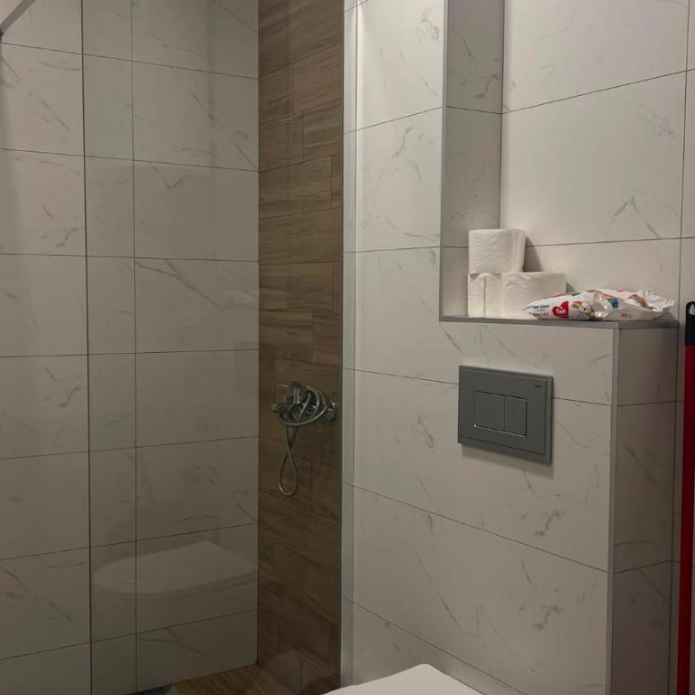 Apartman Trajković Sokobanja - Apartment - 8