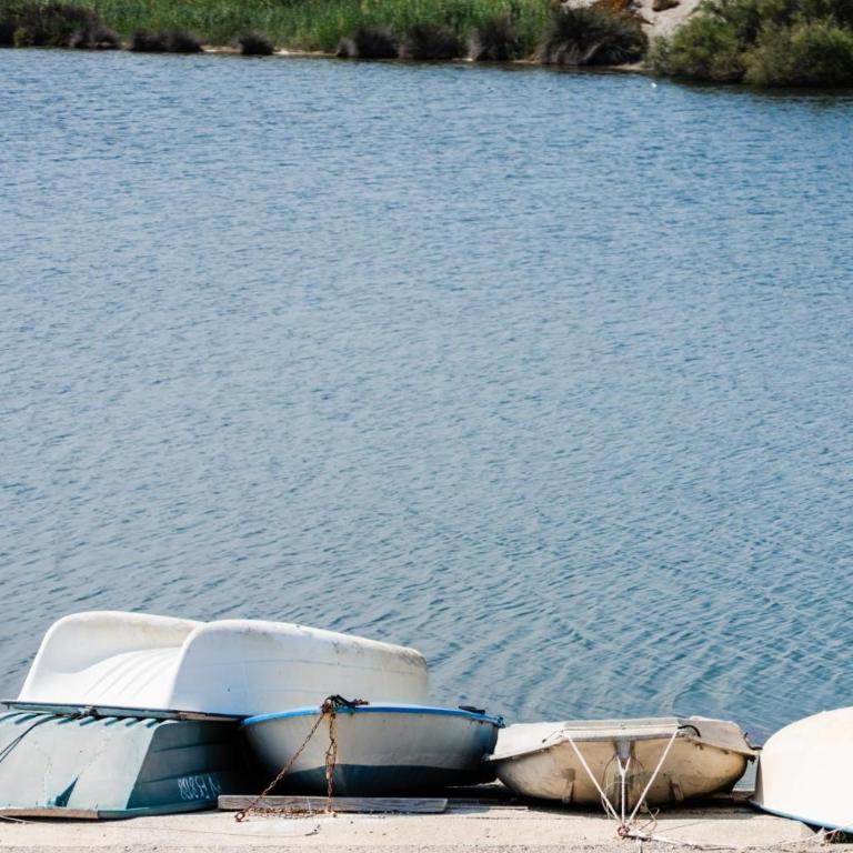 L'Ilot des Barcarelles-Vue Etangs-Piscine-Clim - Two-Bedroom House - 38