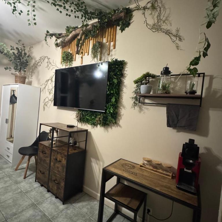 Le cocon - Appartement 1 Chambre - 4