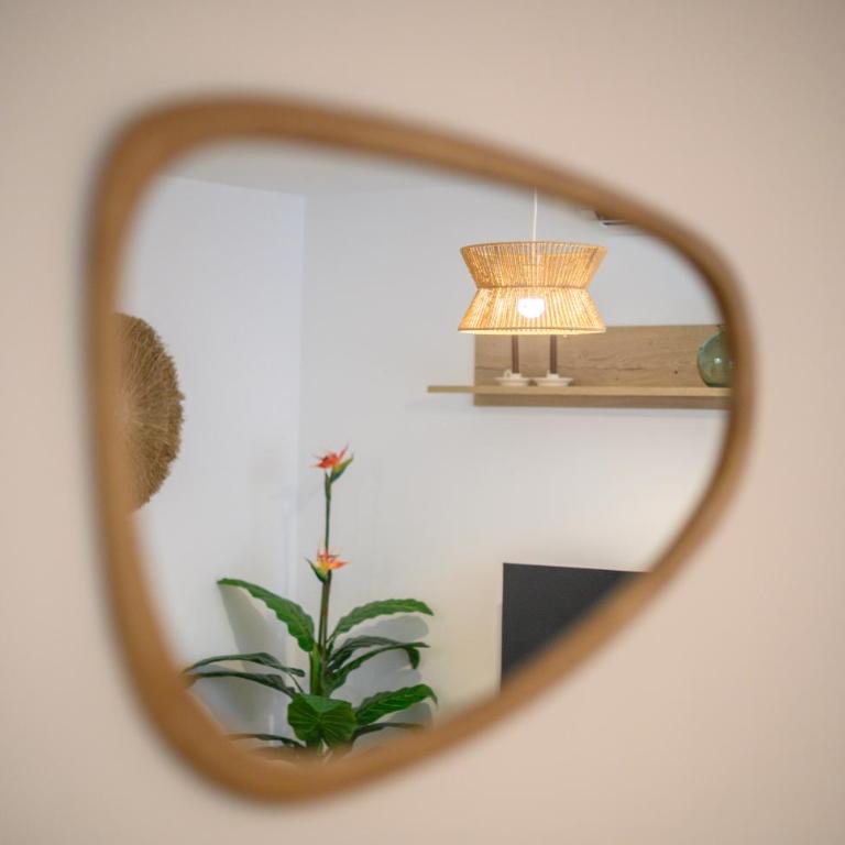 Sevilla CALM HOUSE - Apartment - 2