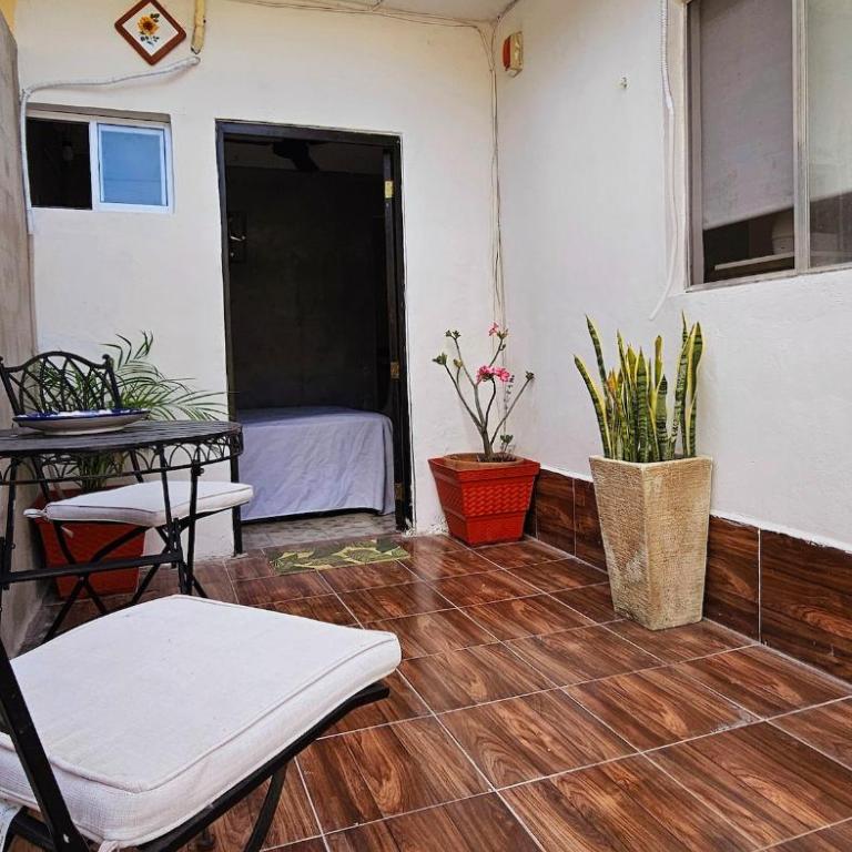 Lindo departamento - Apartamento de 1 dormitorio - 1