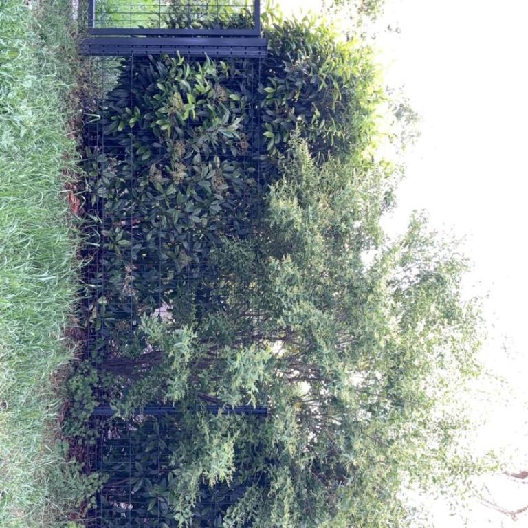Charming 2 room garden level with garage - Appartamento con 1 Camera da Letto - 3