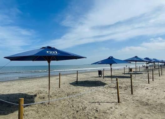 Apartamento en Trevi Serena del Mar - Two-Bedroom Apartment - 67