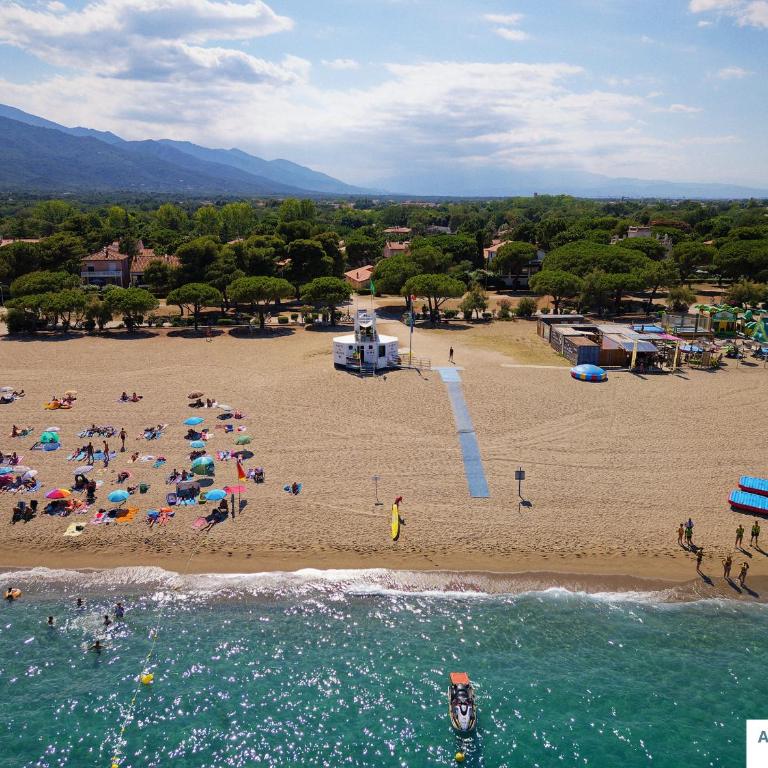 Appartement F2 avec terrasse, jardin, parking et accès piscine à 500m du village d'Argelès-sur-Mer - FR-1-732-63 - Appartamento - 15