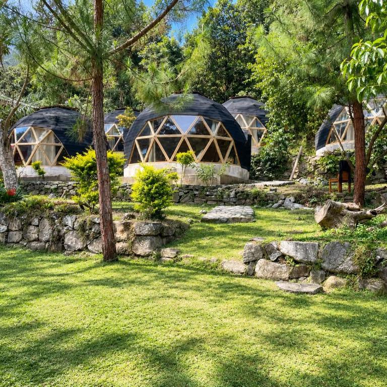 Anita lodge - Bungalow with Garden View - 1
