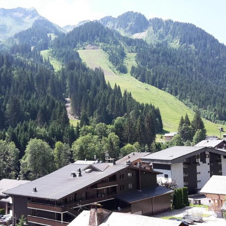 Charmant T2 avec Mezzanine, Balcon et Garage à 600m de la Télécabine du Linga - 5 Pers. - FR-1-676-39 - Appartement - 8