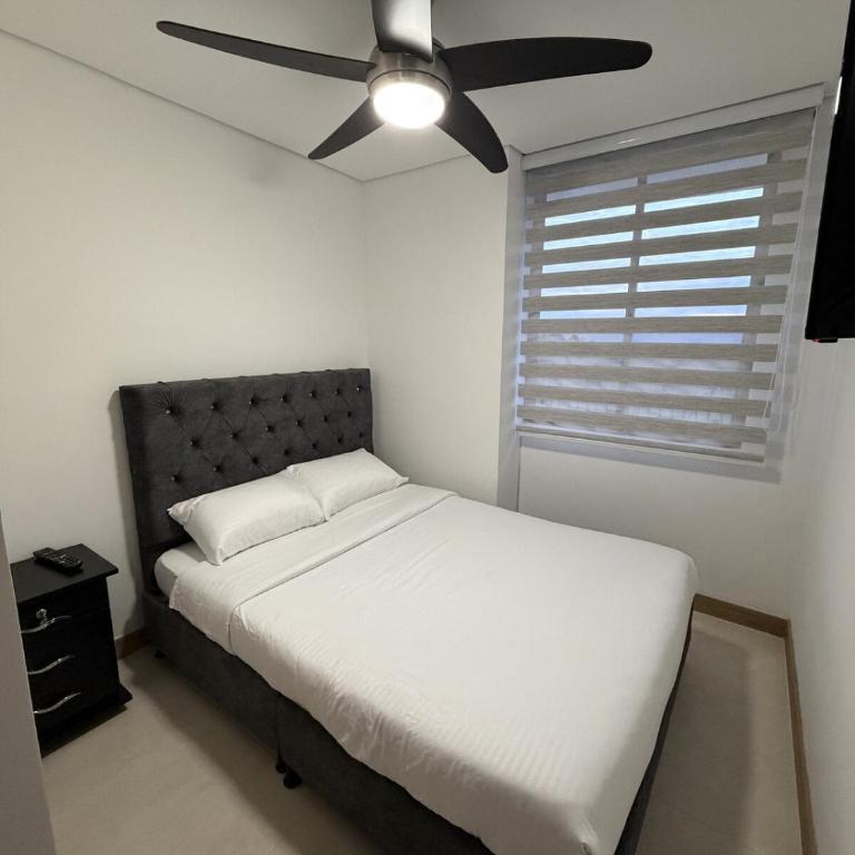 Reserva del café - Apartamento - 10