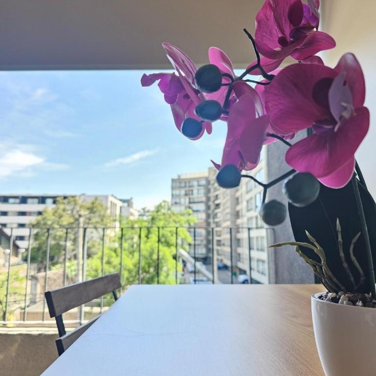 Studio Amplio a pasos de Movistar Arena y Metro - Apartamento de 1 dormitorio - 12