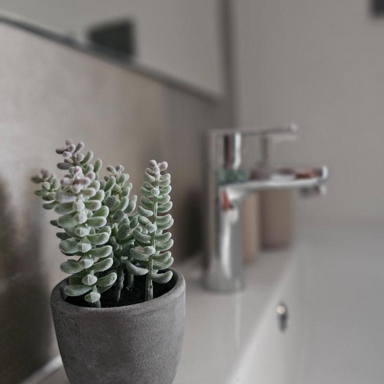 Studio Amplio a pasos de Movistar Arena y Metro - Apartamento de 1 dormitorio - 20