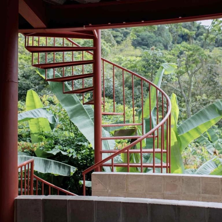 Casa arte museo en reserva natural - Deluxe Villa - 23