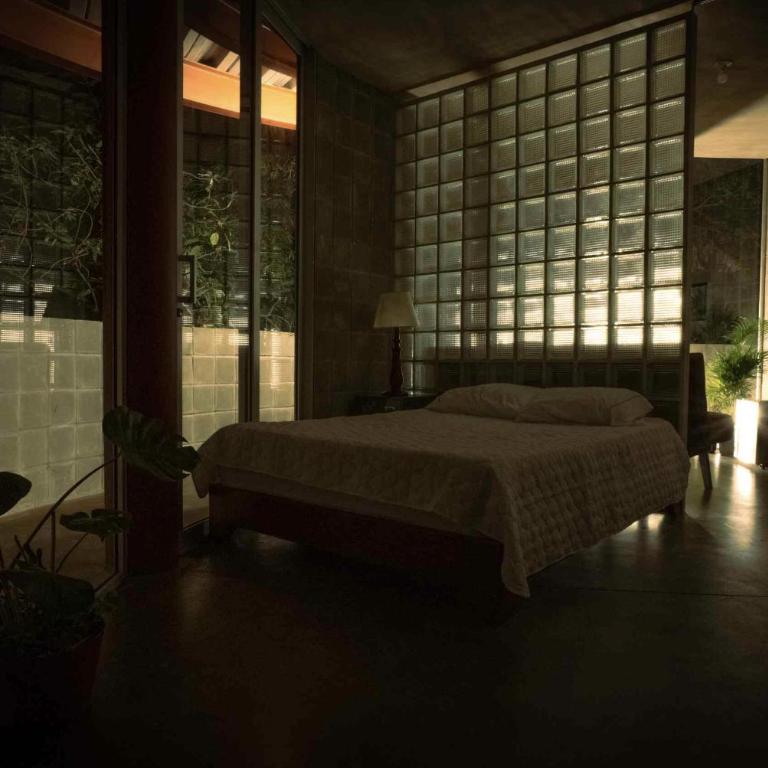 Casa arte museo en reserva natural - Deluxe Villa - 14