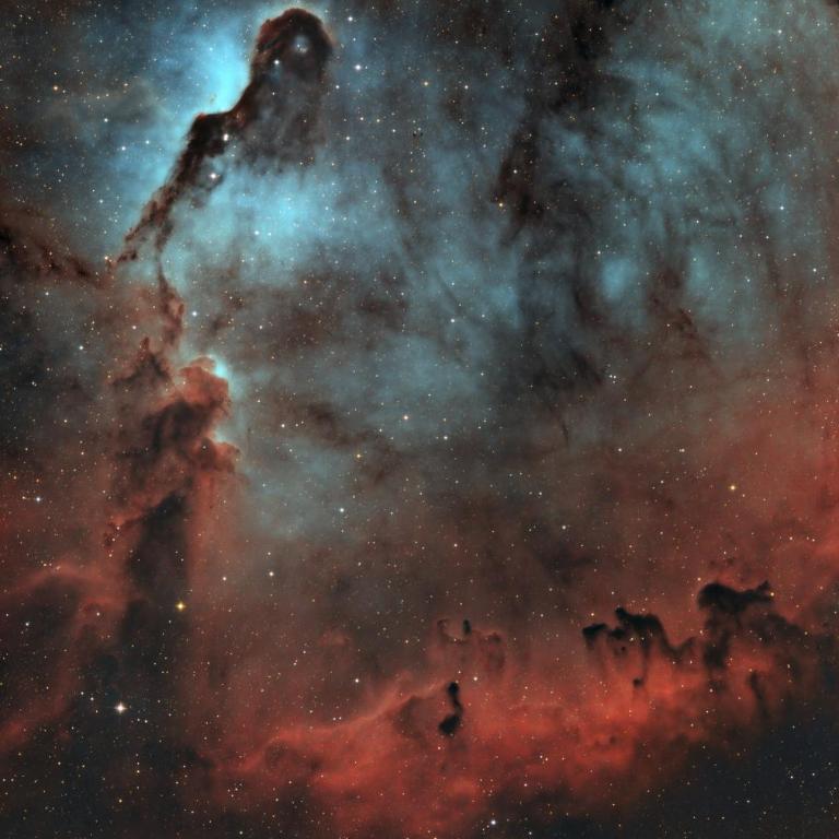 Dark Sky TWO - One-Bedroom House - 9
