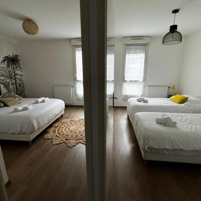 Le Piou Vert en ville - Appartement - 10