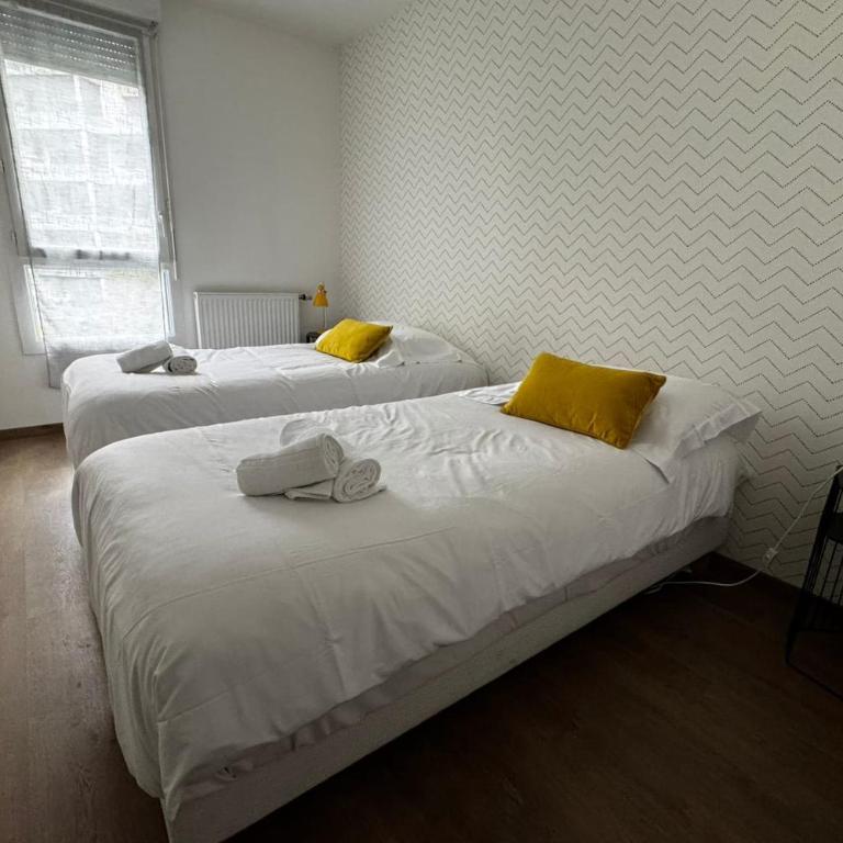 Le Piou Vert en ville - Appartement - 12