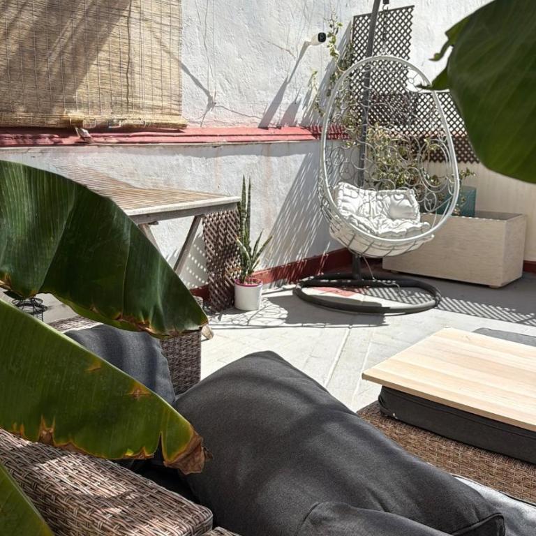Sky Terrace Málaga - Oasis urbano centro Málaga vistas - Three-Bedroom Apartment - 3