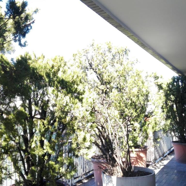 Buonarroti Roof Garden Mita Milano - Double or Twin Room with Terrace - 30