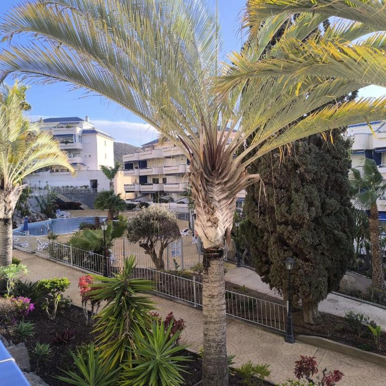 Apartment Playa Graciosa los Cristianos - Apartamento de 2 dormitorios con terraza - 49