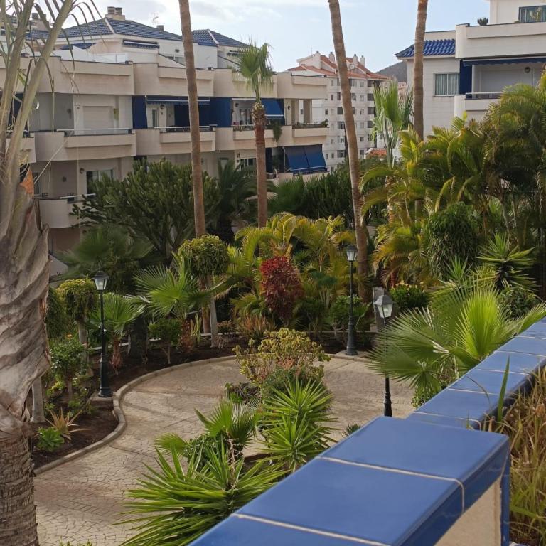 Apartment Playa Graciosa los Cristianos - Apartamento de 2 dormitorios con terraza - 14