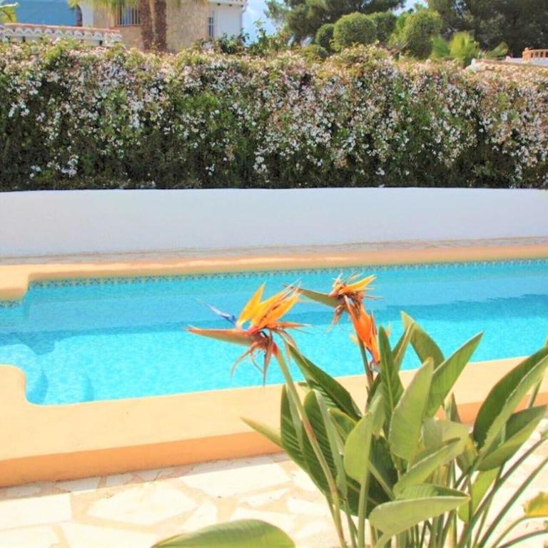 Beautiful villa with private pool, ocean view, garden - Casa de 3 dormitorios - 11