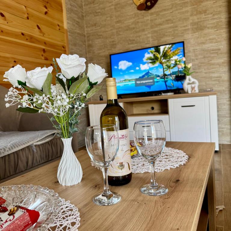 A&A Durmitor Apartments - Apartman sa 1 Spavaćom Sobom - 10
