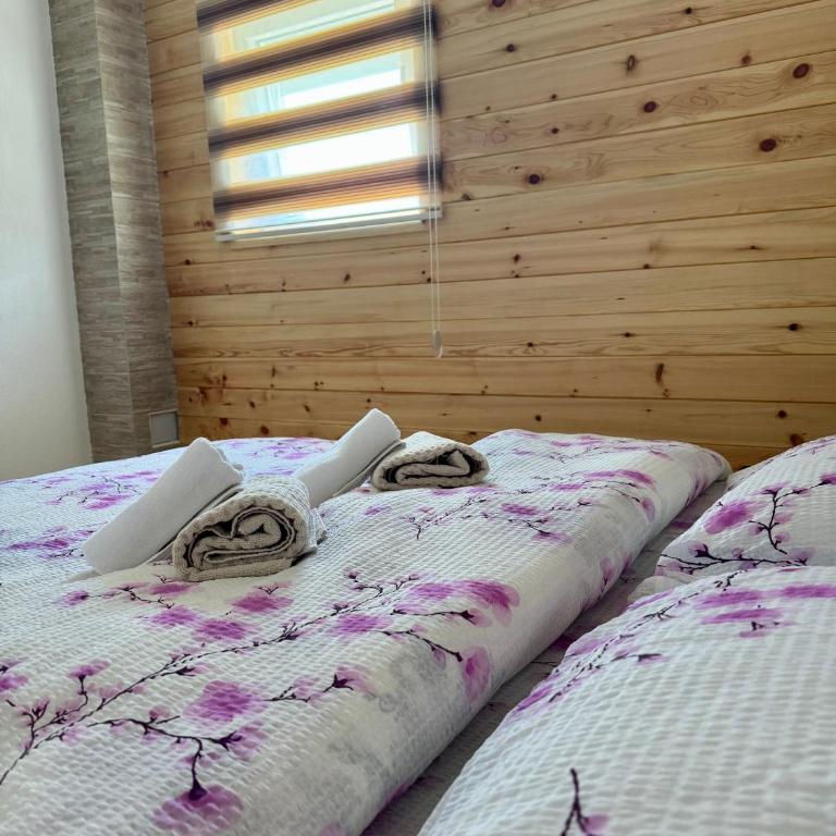 A&A Durmitor Apartments - Apartman sa 1 Spavaćom Sobom - 11