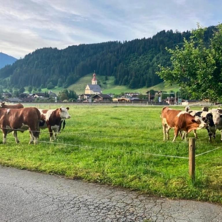 Biobauernhof Hofreith - Doppelzimmer mit Bergblick - 4