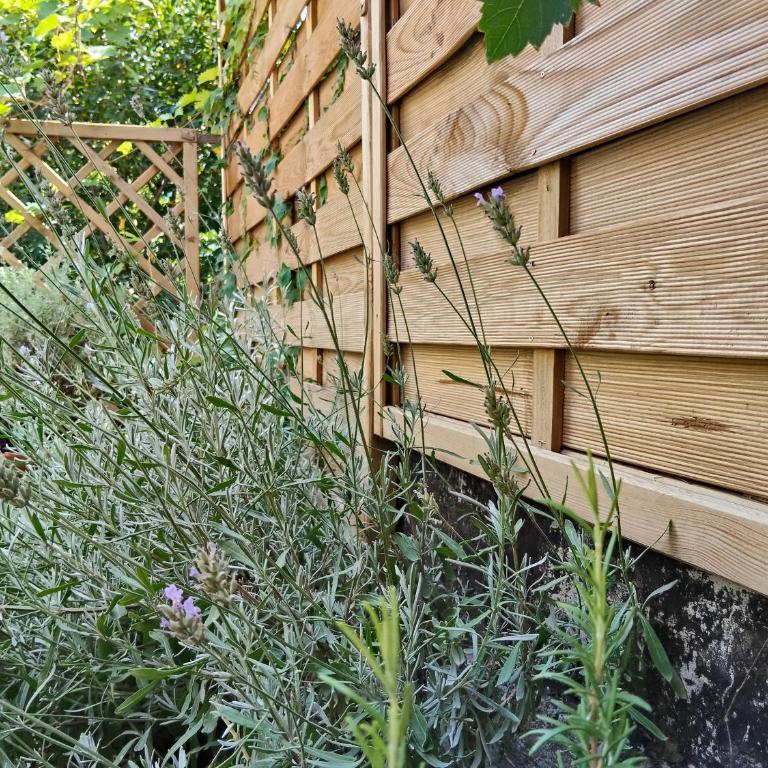 Vinlauris - Appartamento con 1 Camera da Letto e Vista Giardino - 18