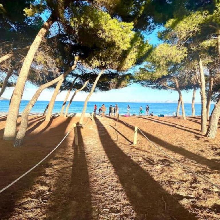 Villa Ginesta en la Playa de Los Pinos en Alcudia - Villa Deluxe - 15
