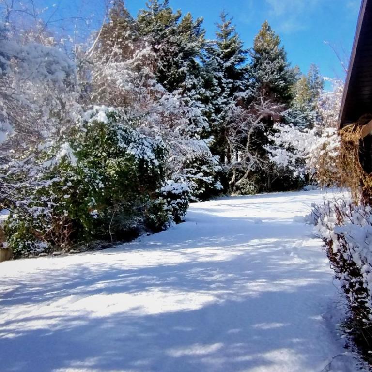 Torcazas - Three-Bedroom Townhouse - 76