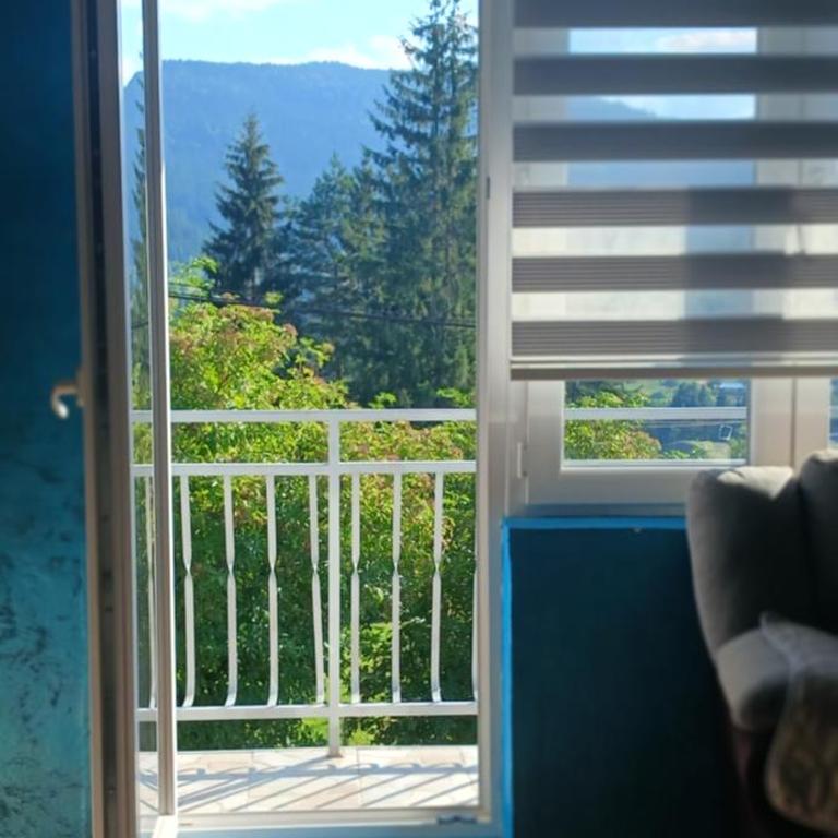 Kuća za odmor Pale - Jahorina - Apartman sa 2 Spavaće Sobe - 18