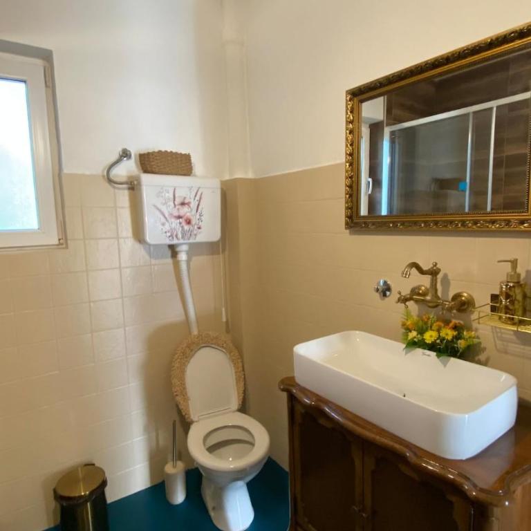 Dedovina Kafedžić - Bajina Bašta - Apartman sa 4 Spavaće Sobe i Balkonom - 8