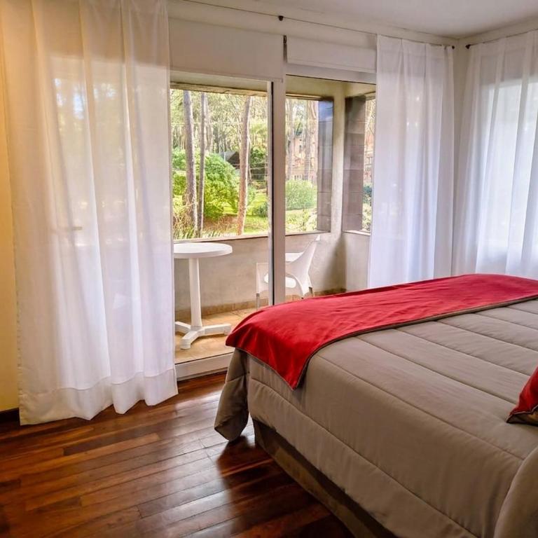 Mizu Hotel Boutique - Junior Suite - 4