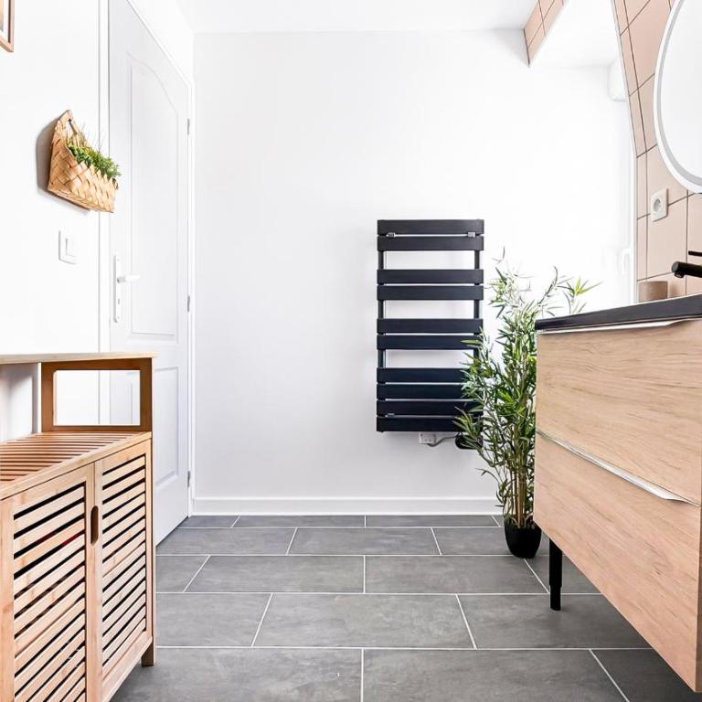 Duplex Design Gare & Thermes Vichy - Appartement 2 Chambres - 17
