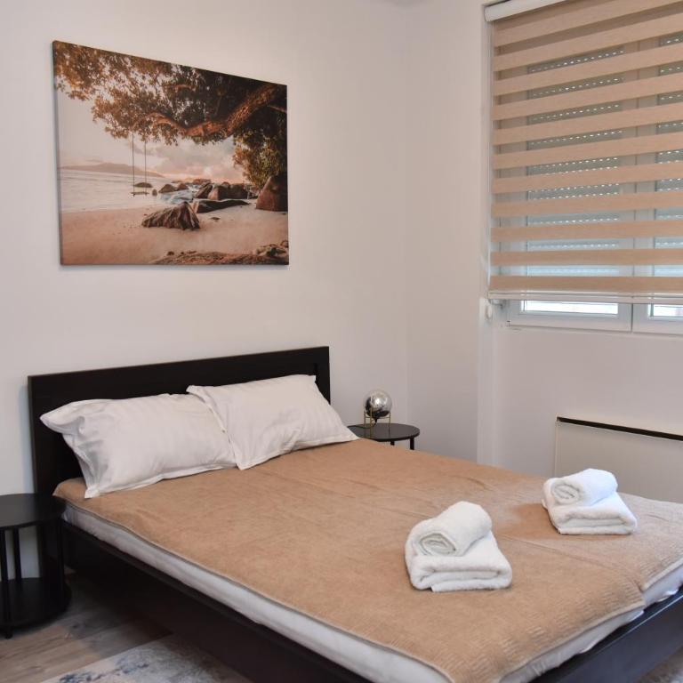Casa Dorcol - Two-Bedroom Apartment - 14