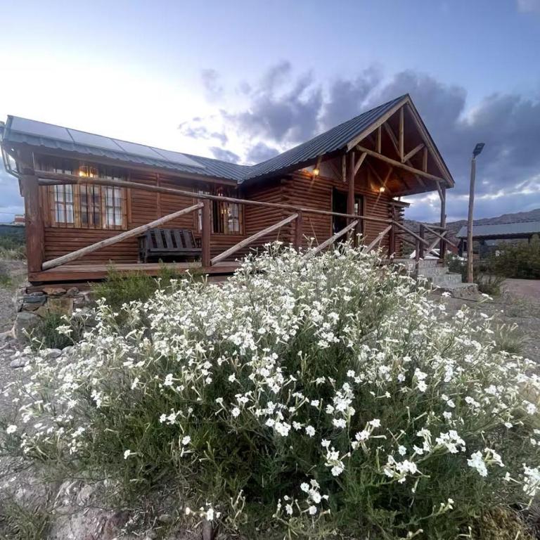 Descanso de montaña - Two-Bedroom Chalet - 4