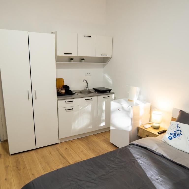 Naissus Apartments - Appartement 1 Chambre - 3