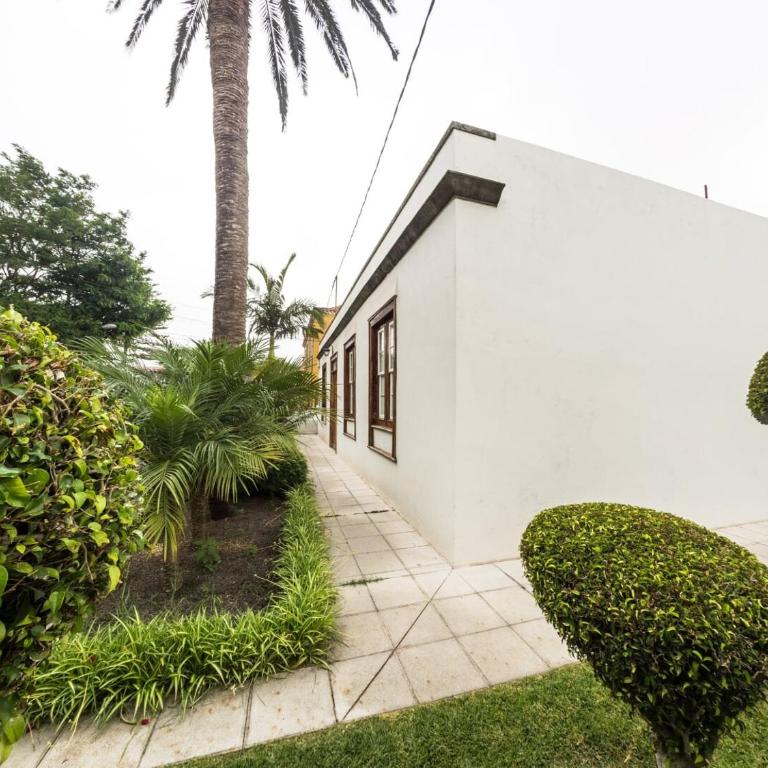 Donde Conchita, cerca del aeropuerto norte - Apartamento - Planta baja - 20