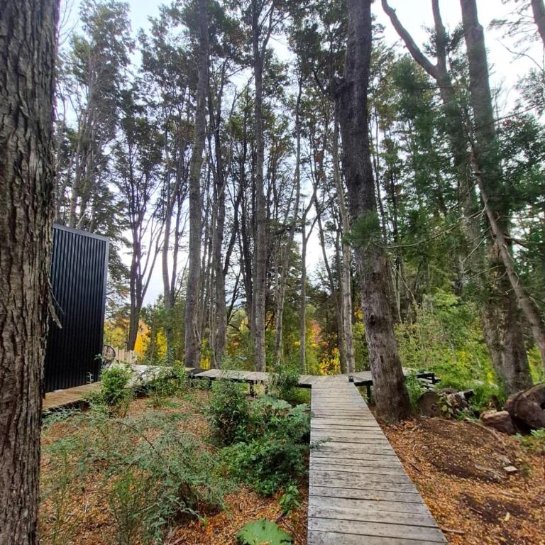 Bosque Cipreses Sur - One-Bedroom House - 22