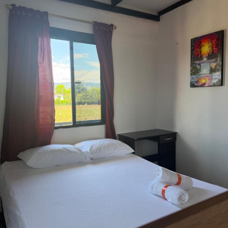 Diamante 38 - Apartamento de 2 dormitorios - 8