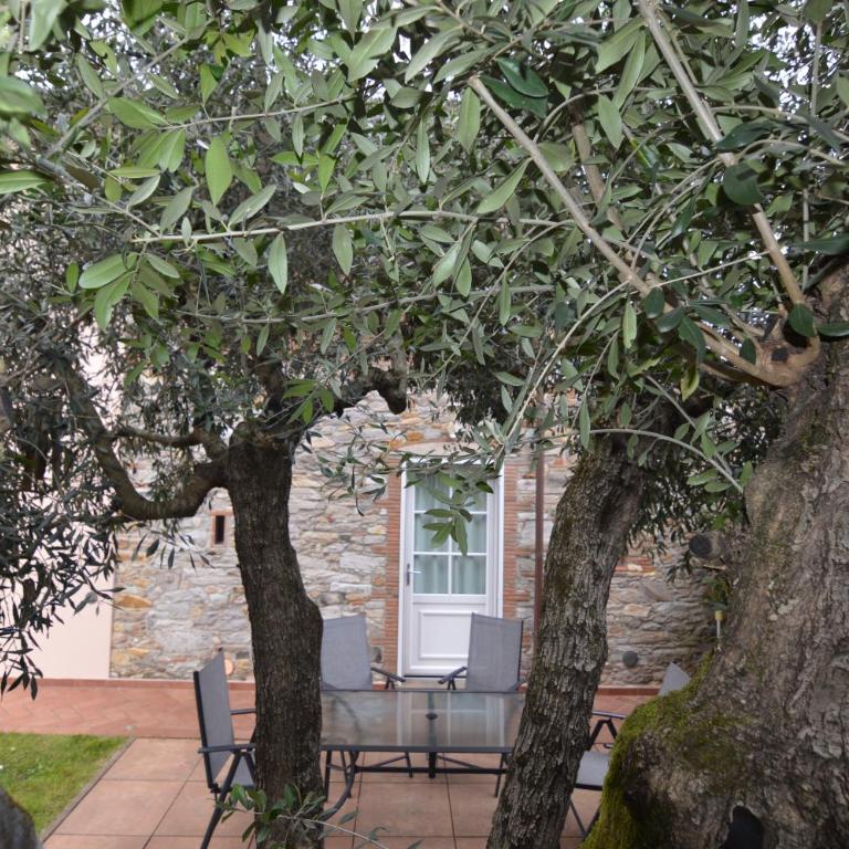 Casina di Elena Pool and Relaxation in Tuscany - Casa con 2 Camere da Letto - 26