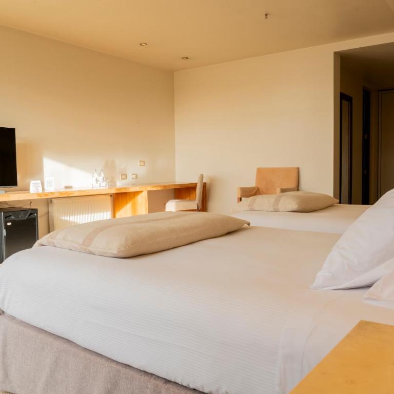 Hotel Patagonico - Deluxe Twin Room - 2