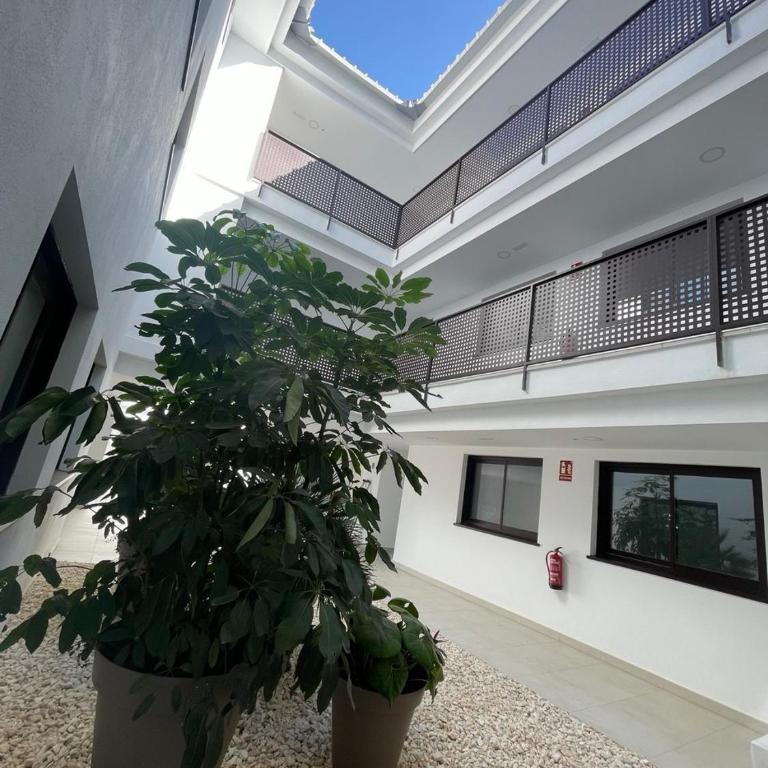 Lomas 5 - Apartamento de 2 dormitorios - 13